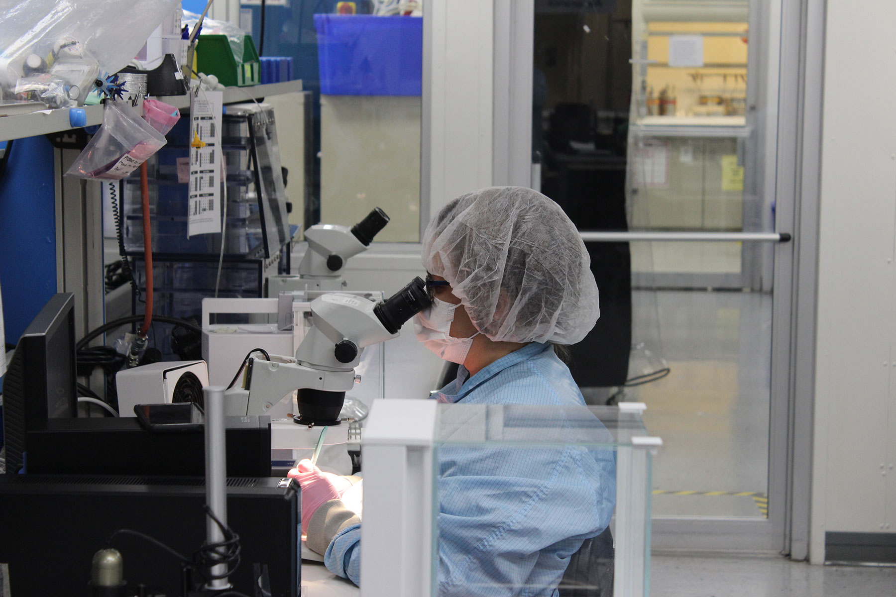 cGMP manufacturing